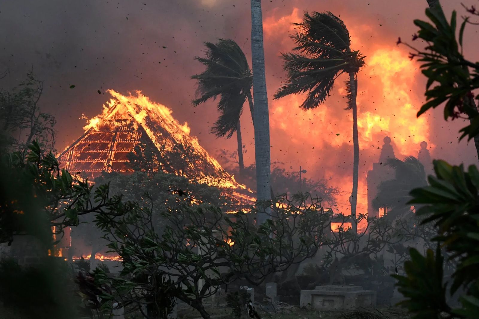 mauifires.jpeg